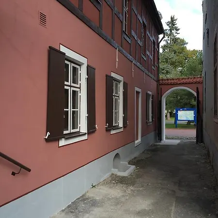 Mohri Old Town 公寓 派尔努